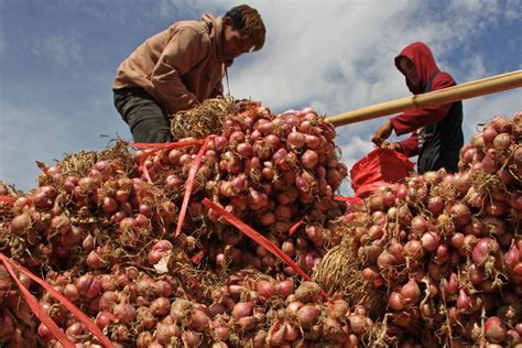 Harga Bawang Merah Dan Cabai Rawit Hari Ini Naik