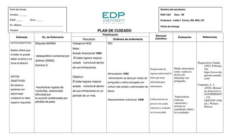 Tabla Plan De Cuidado Labio Leporino 2 Ivette Udocz