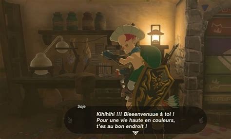 Rénover la Paravoile Zelda Tears of The Kingdom Comment changer le