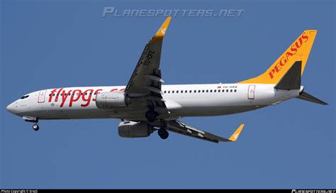 TC CPZ Pegasus Boeing 737 8H6 WL Photo By ErezS ID 1038543