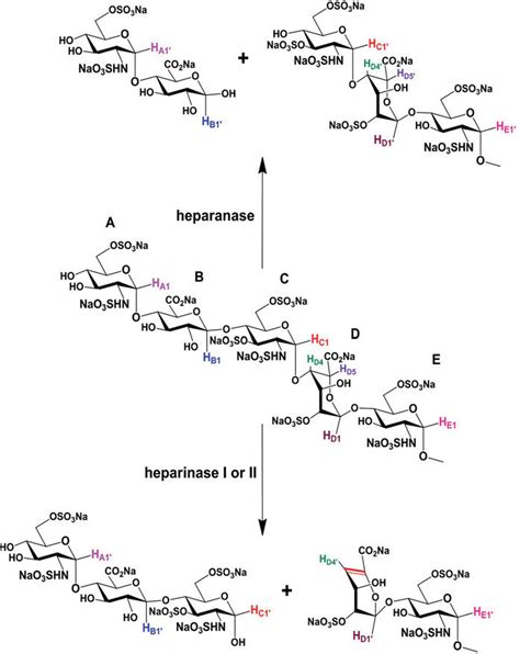 Structure of Fondaparinux (FPX), a highly-sulfated heparin mimetic used ...