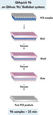 Qiaquick Pcr Purification Kit