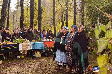 Indigenous Peoples Have Been Protecting Biodiversity On Earth For