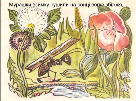 Байки Езопа. Урок 13 - презентация онлайн