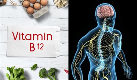 Vitamin B12 Deficiency Damage Nerves Symptoms Of Vitamin B12 विटामिन