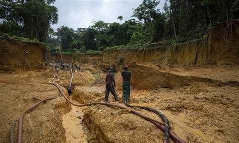 Casos De Mal Ria Aumentam Na Terra Ind Gena Yanomami Ap S Invas O