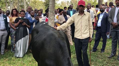 Iburasirazuba Abikorera Boroje Inka Imiryango Y Abarokotse