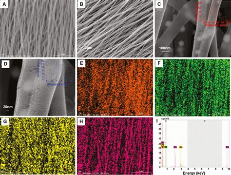 Structural Characterization For Agnps Pva Ag Nanofibers Bd Sem