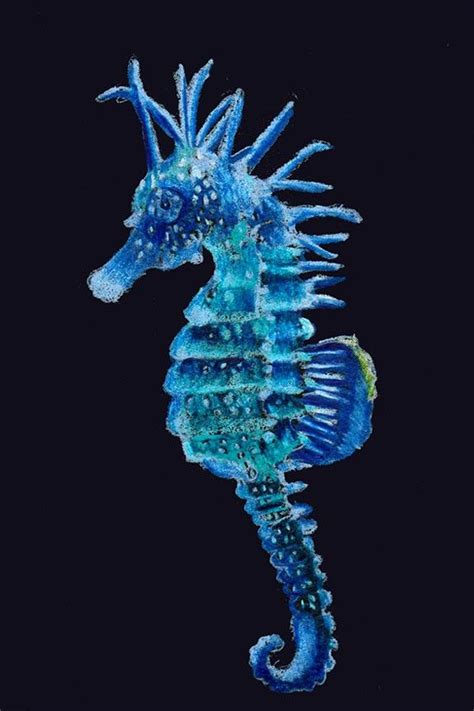 Blue Sea Horse Beautiful Sea Creatures Ocean Animals Marine Animals