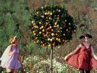 Naked Ivana Karbanova In Daisies