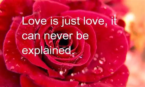 Amazing Romantic Rose Day Quotes Quotesproject