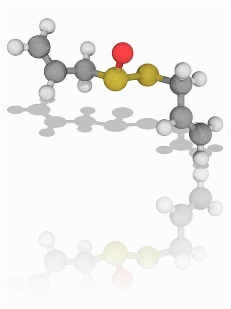 Allicin Organic Compound Molecule Photograph By Laguna Design Science