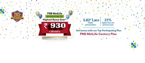 Century Plan Long Term Savings Investment Plan Pnb Metlife