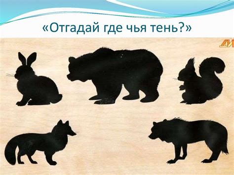 Чья тень картинки для детей