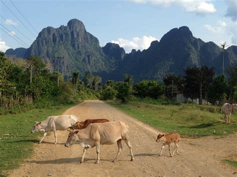 Staying on an organic farm instead of tubing – Vang Vieng, Laos ...