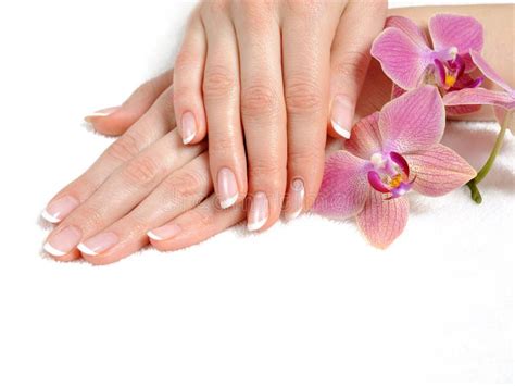 Beautiful Hand With Perfect Nail French Manicure Stock Photo Image Of