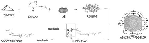 一种覆盖tf Peg Plga涂层的载药zif 8纳米粒及其制备方法与应用