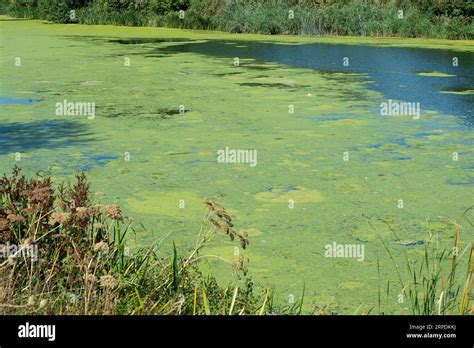 Slough Berkshire Uk 4th September 2023 It Was A Very Hot Day In