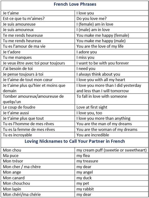 How to Say I Love You in French: French Love Phrases & Nicknames