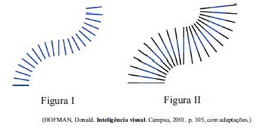 Enade As Figuras I E Ii Ilustram Um Tipo De Efeito Visual Que Pode Ser