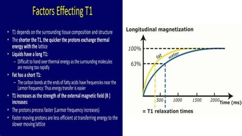 Basics Of Mri Physics Ppt