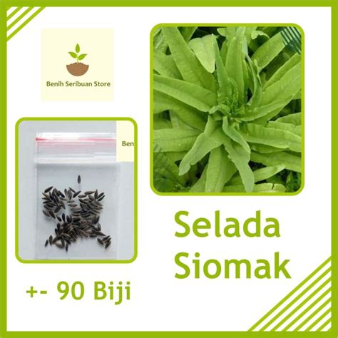 Big Sale 90 Benih Selada Siomak Bibit Selada Siomak Biji Selada