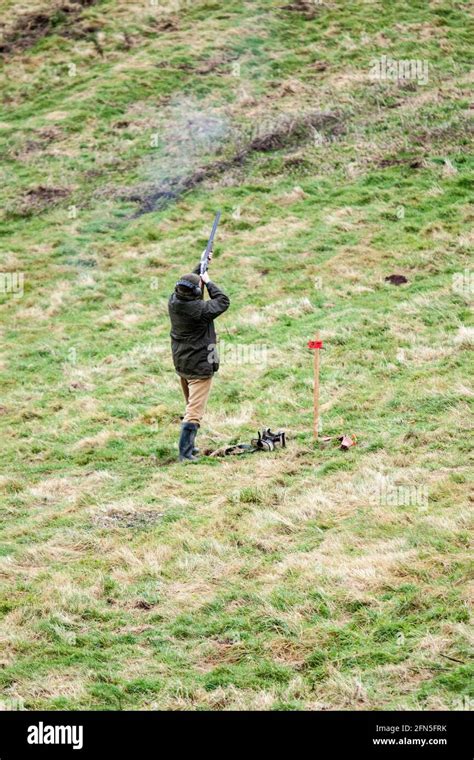 A Gun In Action During A Pheasant And Partridge Driven Shoot On An