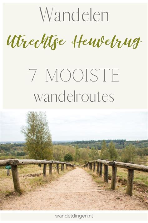 Wandelen Op De Utrechtse Heuvelrug 7 Mooiste Wandelroutes