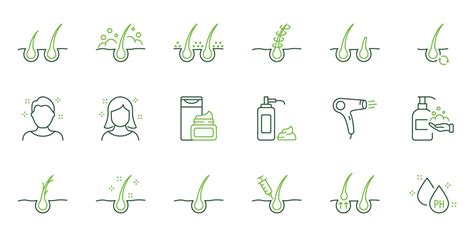 Hair Beauty Care Line Icons Treatment And Problem Of Hair Hair Care