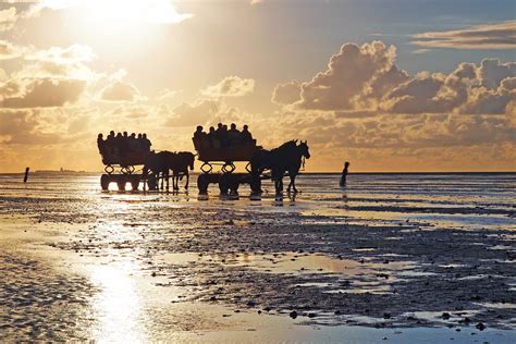 Wattenmeer – Urlaub in Cuxhaven