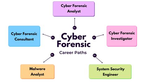 Cyber Forensic Career In India Choose The Right Career Path