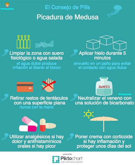 Ofrasalud Infografía Picadura Medusas