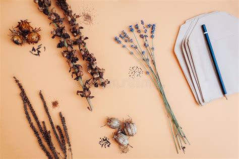 Propagation Of Plants Flat Lay Of Flower Seeds Mix Saving Dry