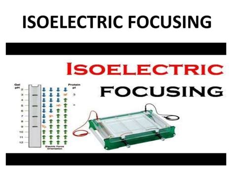 ISOELECTRIC FOCUSING PPT - SLIDE SHARE