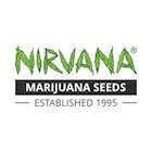 Nirvana® Shop Cannabis Flower, Pre-rolls, & Pot Seeds on Leafly