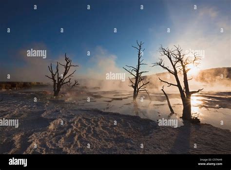 USA Wyoming Yellowstone National Park Mammoth Hot Springs Terrace Stock Photo Alamy