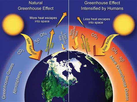 Causes Building Resilience Against Climate Effects University Of