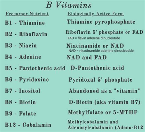 On The Importance Of Vitamin B Vitamins Thread Series Thread On