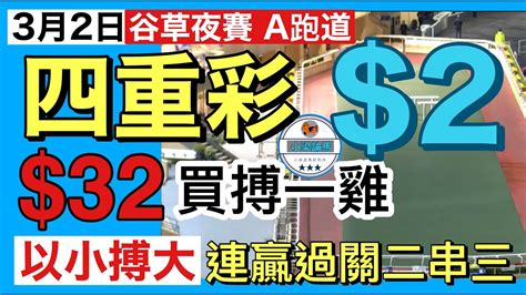 [小梁論馬] 3月2日谷草夜賽 四重彩 2注 32買搏一雞 以小搏大 連贏過關兩串三 賽馬kol 小梁 Kleagueworkshopken Youtube