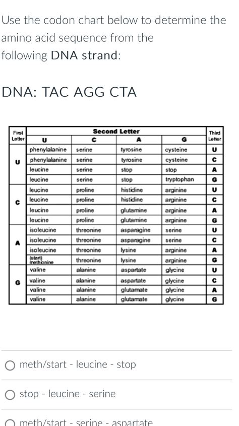 solved   codon chart   determine  amino acid sequence