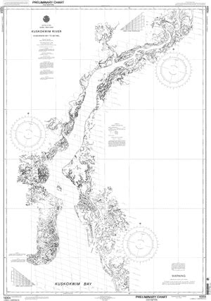 KUSKOKWIM RIVER KUSKOKWIM BAY TO BETHEL nautical chart - ΝΟΑΑ Charts - maps