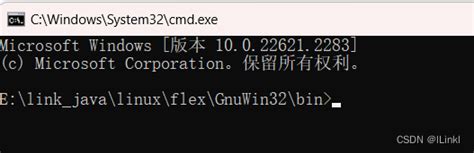 Flex与bison入门，编译原理：flex编写词法分析器（使用windows环境） Flex Bison Windows Csdn博客