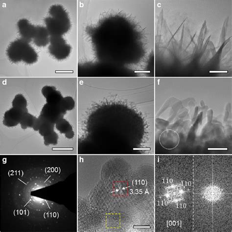 Ac Representative Tem Images Of The Primary Sno Samples At Different