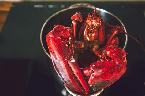 Premium Photo High Angle Close Up Of Red Crabs In Container On Table