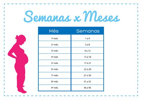 Calcular Semanas De Gravidez