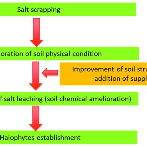 The Diagram Indicating The Techniques Required For Reclamation Of