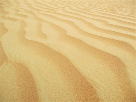 Premium Photo Desert With Warm Colors Sand Dunes