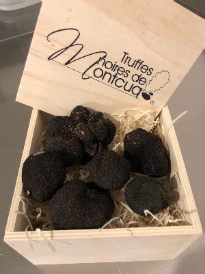 Truffes Noires De Montcuq Tuber Melanosporum 300g