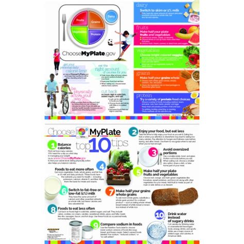 Balance Food With Physical Activity By Using Myplate As A Guide The