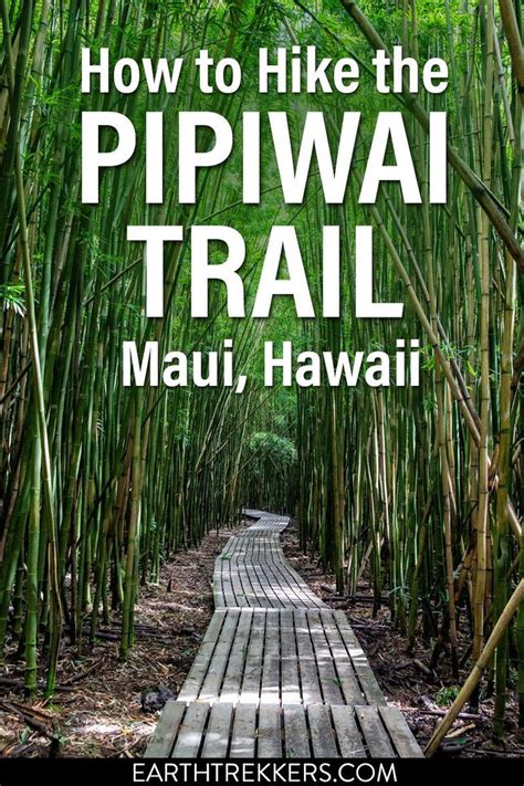 Pīpīwai Trail A Step By Step Guide to One of Maui s Best Hikes Maui